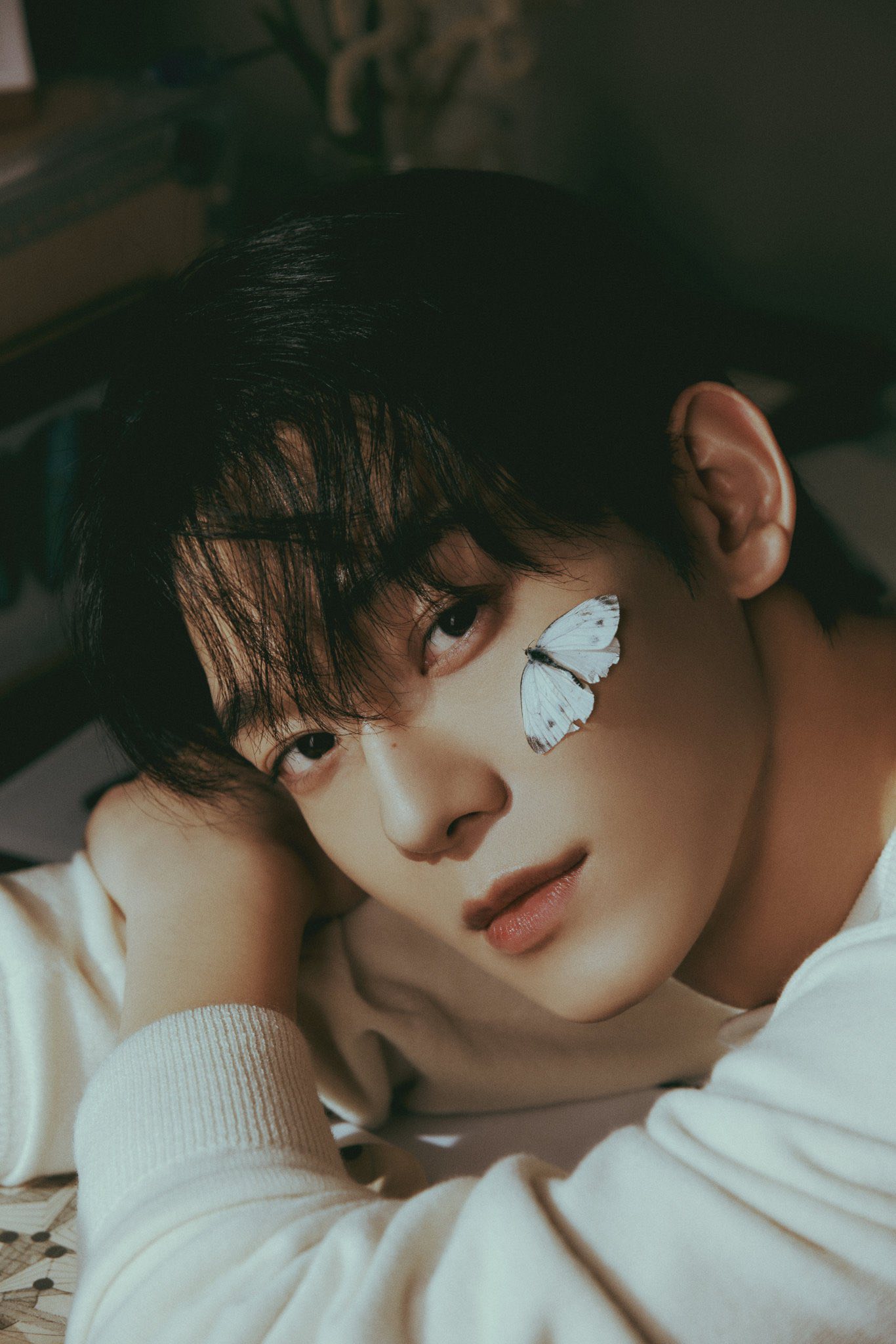 Album mới của Chen ghi nhận doanh số kém Doanh số album Arcadia thấp
