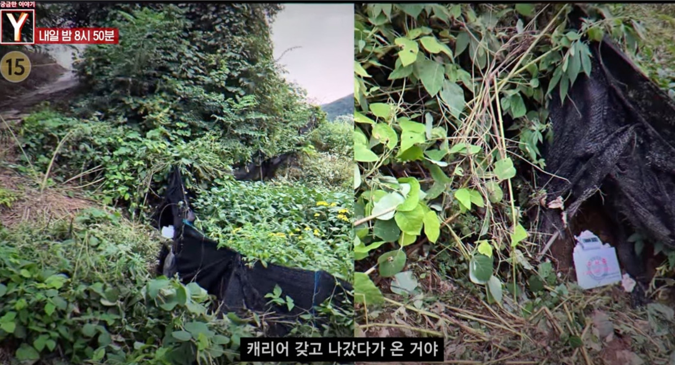 Hiện trường xảy ra vụ án Hiện trường vụ án nữ diễn viên bị sát hại