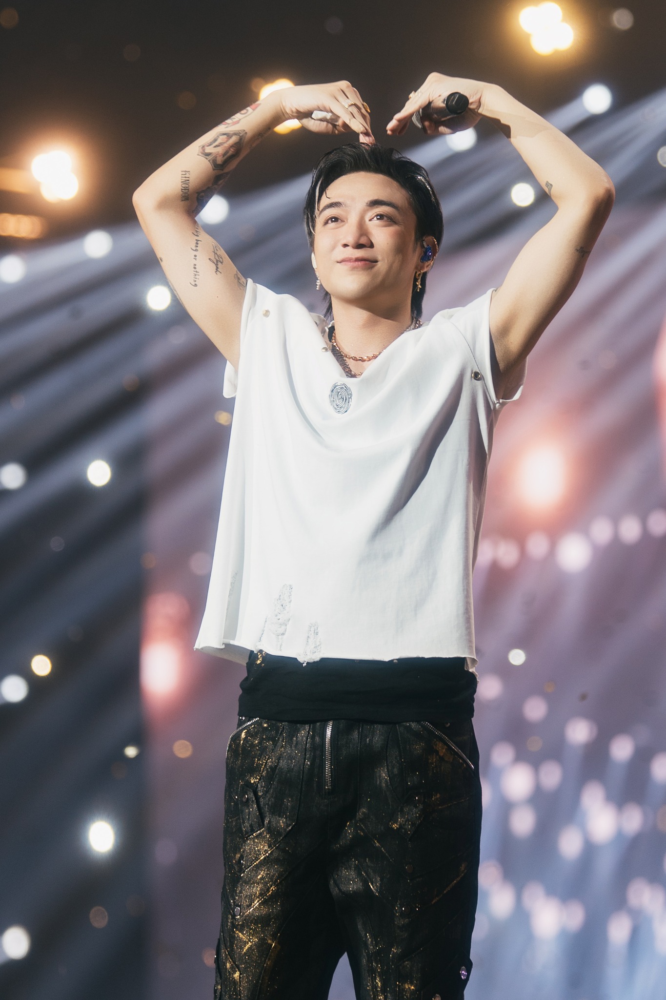 Fandom kỳ vọng concert D-3