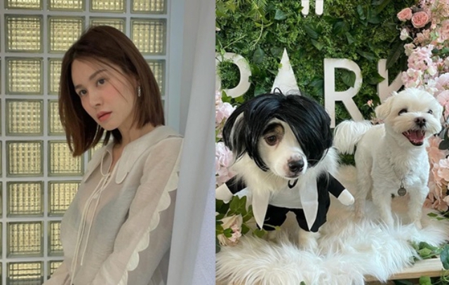 Bài đăng của Ivy khiến dân mạng xôn xao